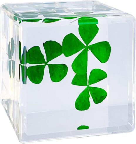 مكعب راتنج أكريليك ثقالة الورق مع زهرة أبدية محفوظة، أربع أوراق البرسيم داخل 4 سم مكعب أخضر جمالي رف نباتات ديكور مكتب الحلي ديكور لصديقتك in Kuwait