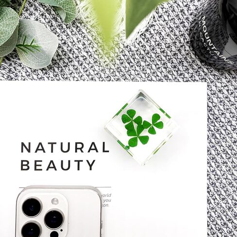 مكعب راتنج أكريليك ثقالة الورق مع زهرة أبدية محفوظة، أربع أوراق البرسيم داخل 4 سم مكعب أخضر جمالي رف نباتات ديكور مكتب الحلي ديكور لصديقتك in Kuwait