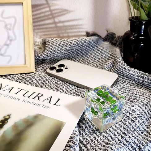 مكعب راتنج أكريليك ثقالة الورق مع زهرة أبدية محفوظة، أربع أوراق البرسيم داخل 4 سم مكعب أخضر جمالي رف نباتات ديكور مكتب الحلي ديكور لصديقتك in Kuwait