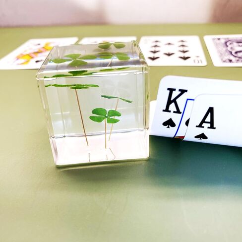 مكعب راتنج أكريليك ثقالة الورق مع زهرة أبدية محفوظة، أربع أوراق البرسيم داخل 4 سم مكعب أخضر جمالي رف نباتات ديكور مكتب الحلي ديكور لصديقتك in Kuwait