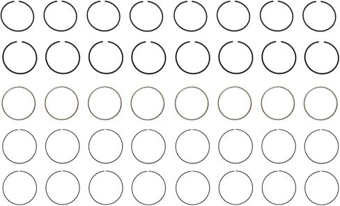 Piston Ring Set - Cast (Size = Standard) | Compatible with GM/Chevrolet 229/265 / 305 OHV V8 16V Engines | Deep Oil Ring in Saudi Arabia