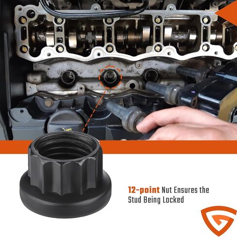 12-Point Cylinder Gasket Head Stud Bolt Kit Fit for Chevy LS1 LS3 5.3L 5.7L 6.0L /LS1 LS6 L98 4.8L 5.3L 6.0L 2004-2019 Engines​ Replaces# 234-4317 in Kuwait