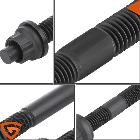 12-Point Cylinder Gasket Head Stud Bolt Kit Fit for Chevy LS1 LS3 5.3L 5.7L 6.0L /LS1 LS6 L98 4.8L 5.3L 6.0L 2004-2019 Engines​ Replaces# 234-4317 in Kuwait