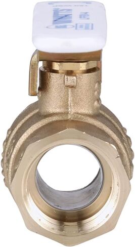 Watts LFFBV-4 Two-Piece Full Port Ball Valves, 2 Inch, Brass in Saudi Arabia