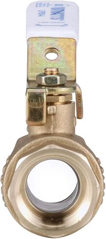 Watts LFFBV-4 Two-Piece Full Port Ball Valves, 2 Inch, Brass in Saudi Arabia