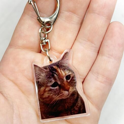 Angyape 9Pcs Funny Cat Meme Keychain Cute Bag Charms for Women Handbag Purse Charms Car Keys Accessories Party Favors Gifts in Saudi Arabia