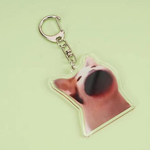 Angyape 9Pcs Funny Cat Meme Keychain Cute Bag Charms for Women Handbag Purse Charms Car Keys Accessories Party Favors Gifts in Saudi Arabia