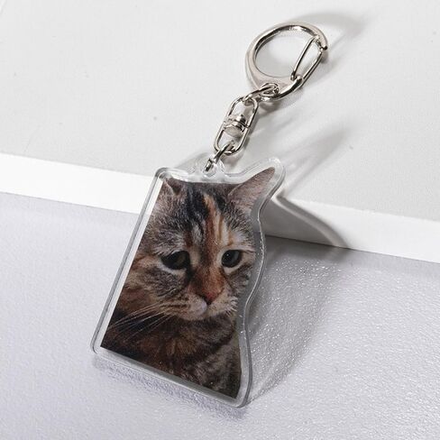 Angyape 9Pcs Funny Cat Meme Keychain Cute Bag Charms for Women Handbag Purse Charms Car Keys Accessories Party Favors Gifts in Saudi Arabia