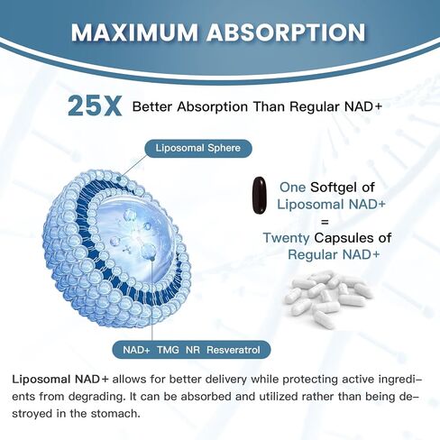 ملحق Liposomal NAD+ 1800 ملغ مع الريبوسيد النيكوتيناميد ، ريسفيراترول ترانس ، تريميثيل جليسين ， يحل محل NMN ، Boost NAD+ ، الدفاع الشيخوخة ， الطاقة الخلوية ، 120 SoftGels in Kuwait