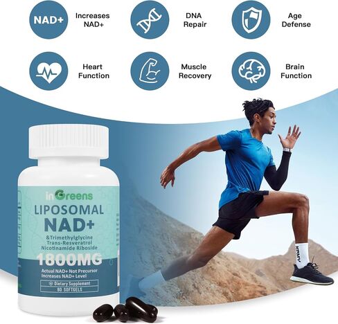ملحق Liposomal NAD+ 1800 ملغ مع الريبوسيد النيكوتيناميد ، ريسفيراترول ترانس ، تريميثيل جليسين ， يحل محل NMN ، Boost NAD+ ، الدفاع الشيخوخة ， الطاقة الخلوية ، 120 SoftGels in Kuwait