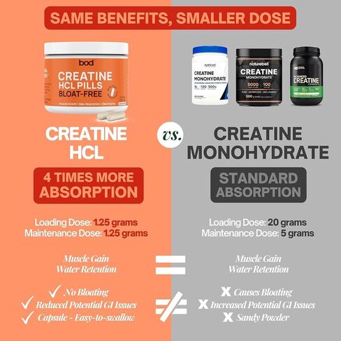 BOD Creatine Capsules Pills for Muscle Support, Endurance, No Bloat, No Load, Unflavored Creatine for Women and Men, Vegan, (Creatine HMB Capsules) in Kuwait