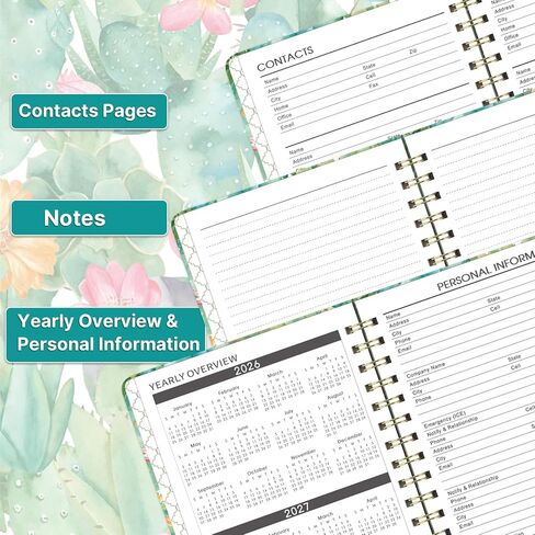 مخطط شهري/تقويم شهري 2024-2026 - مخطط شهري لمدة 3 سنوات، يناير 2024 - ديسمبر 2026، 6.3 بوصة × 8.4 بوصة، 36 مخطط/تقويم شهري 2024-2026 مع جيب مزدوج الجانب + غلاف فني - الصبار in Kuwait