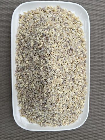 Frankincense Resin Gum Olibanum, Pea Size Granules (6 oz) in Saudi Arabia