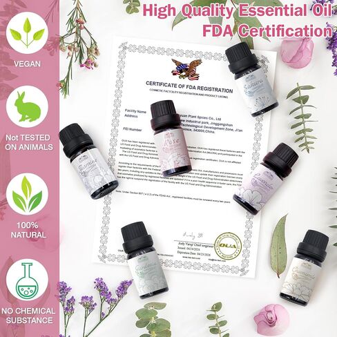 6 عبوات من الزيوت العطرية العلاجية العطرية للمنزل والسيارة والزيوت العطرية واللافندر والياسمين والورد العطري ورائحة الزيوت العطرية من الزهور ومجموعة هدايا زيت عطري لصنع الشموع 10 مل in Kuwait
