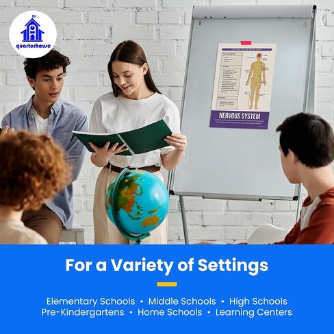 Quarterhouse Cells (Biology) Poster Set, Science Classroom Learning Materials for K-12 Students and Teachers, Set of 4, 12x18, Extra Durable in Kuwait