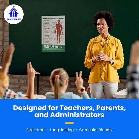 Quarterhouse Cells (Biology) Poster Set, Science Classroom Learning Materials for K-12 Students and Teachers, Set of 4, 12x18, Extra Durable in Kuwait