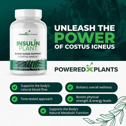 كبسولات مصنع الأنسولين - 3000 ملغ من مسحوق أوراق Costus indereus مع عدم وجود عدد وحشو والغلوتين - نباتي ، غير وكراتيرد الكائنات ؛ in Kuwait