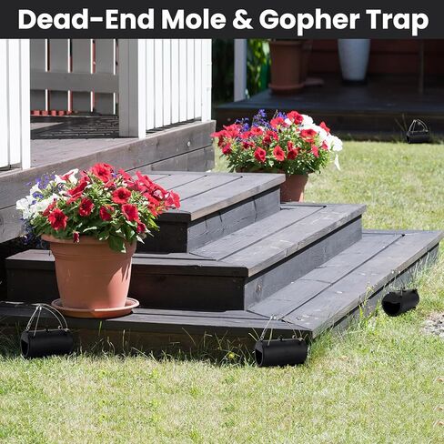Qualirey 2 Pack Gopher Trap 6.7 Inch Tunnel Mole Traps Outdoor Rodent Rat Bait Box Bait Stations Reusable for Outdoor Yard Garden in Kuwait