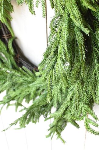 Afloral Real Touch Norfolk Pine Wreath - 24 " in Kuwait