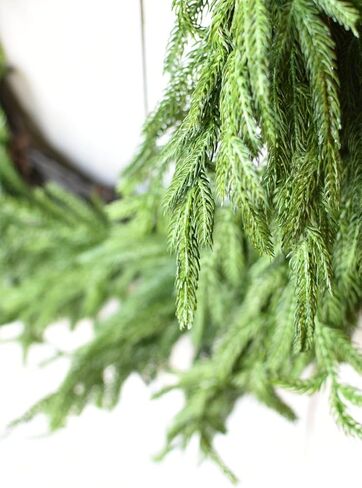 Afloral Real Touch Norfolk Pine Wreath - 24 " in Kuwait