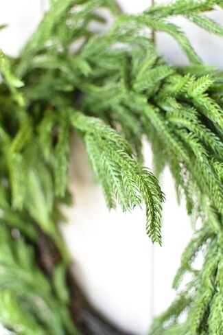 Afloral Real Touch Norfolk Pine Wreath - 24 " in Kuwait