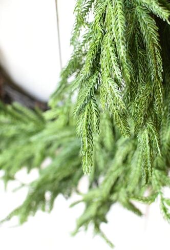 Afloral Real Touch Norfolk Pine Wreath - 24 " in Kuwait