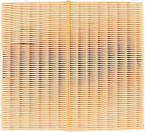 ApplianPar Engine and Cabin Air Filter Kit for Lexus NX300 2018-2019 for Toyota Highlander 2014-2019 in Saudi Arabia