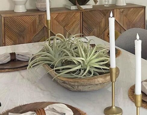 Large Green Real Touch Faux Air Plants, Lifelike Fake Tillandsia Pick, Artificial Air Plants for DIY Garden Wedding Home Decor — No Care Needed 5 pcs in Saudi Arabia