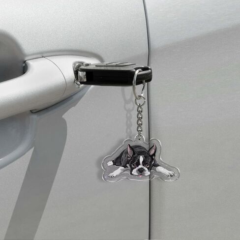 WIRESTER Sparkling Glitter Double Sided Acrylic Keychain for Keys, Cars, Motorcycles, Backpacks, Travel in Kuwait