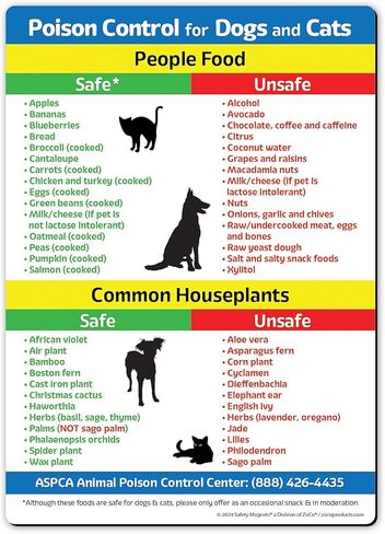 Safety Magnets by ZOCO – Safe & Toxic Foods and Plants for Dogs & Cats – 5"x7" Pet Safety Reference Magnet for Fridge – Dog & Cat Awareness Chart for Owners & Sitters in Saudi Arabia