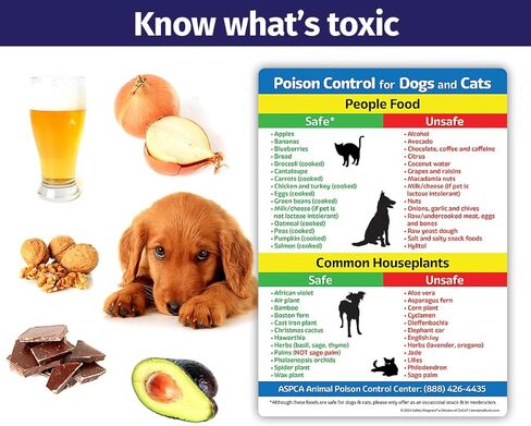 Safety Magnets by ZOCO – Safe & Toxic Foods and Plants for Dogs & Cats – 5"x7" Pet Safety Reference Magnet for Fridge – Dog & Cat Awareness Chart for Owners & Sitters in Saudi Arabia
