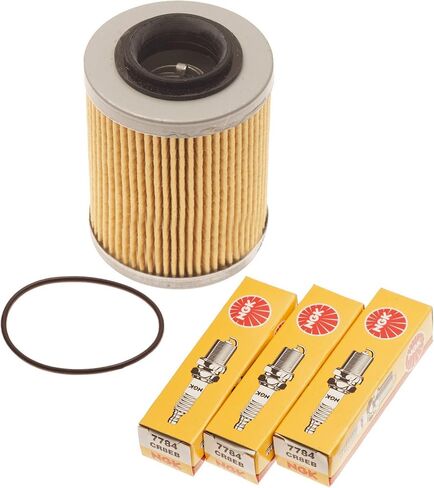 Sea Doo Spark 900 Filter W/O-Ring & NGK Spark Plugs Kit 420956123 CR8EB in Saudi Arabia