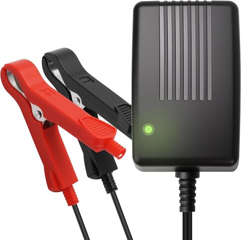 12V 1A DC شاحن البطارية الذكي ، مع موصل مقاطع التمساح المزدوج ، قابلة للتوصيل لبطارية فوسفات الحديد الليثيوم 12V ، بطارية AGM حمض 12 فولت ، تناسب دراجة نارية ، سيارة ، شاحنات ، جزازة العشب in Kuwait