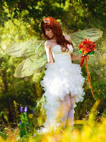 Dragonfly Wings for Adults Halloween Fairy Dragonfly Wings Costume Large Cosplay Wing Dress up Festive Party Favor in Kuwait