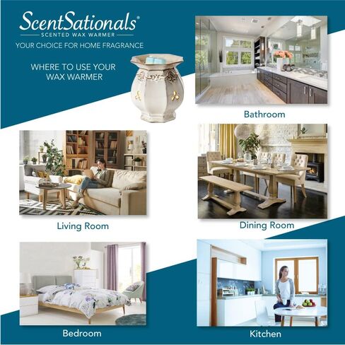 Scentsationals Wax Wax Warerer Boho ، Melter Wax Cube Melter ، العطور الكهربائية وموقد الزيت ، معطر الهواء بدون شمعة ، ديكور المنزل الداخلي ، زخرفة المنزل على مدار السنة (وعاء عصاري) in Saudi Arabia