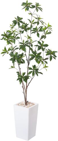 Artificial Brave Ficus Tree 7FT-Faux Tree with White Tall Planter-Fake Potted Tree with Silk Leaves-Tall Artificial Plants for Home Office Living Room Hallway Decor Indoor in Kuwait