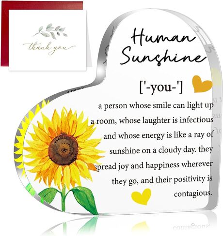 Thank You Thanksgiving Decor Gifts for Women, Inspirational Quotes Gift, Human Sunshine Gift, Motivational Gift, Appreciation Gifts for Teacher Friends Coworkers Doctor Nurse, Acrylic Desk Sign Decor in Saudi Arabia