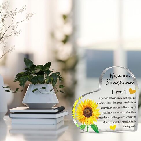 Thank You Thanksgiving Decor Gifts for Women, Inspirational Quotes Gift, Human Sunshine Gift, Motivational Gift, Appreciation Gifts for Teacher Friends Coworkers Doctor Nurse, Acrylic Desk Sign Decor in Saudi Arabia