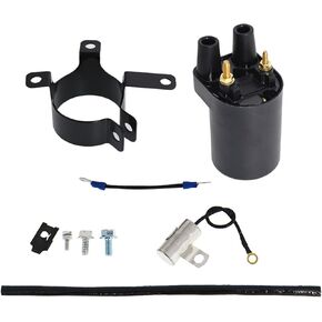 WFLNHB Ignition Coil Replacement for Onan 166-0820 541-0522 HE166-0761 HE541-0522 Models P218G P220G P224G Engine in Saudi Arabia