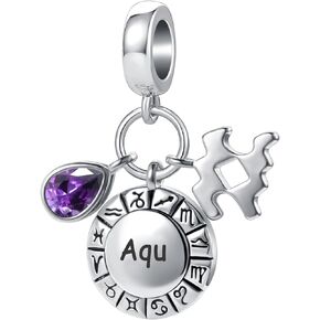 12 Zodiac Sign Charm Teardrop Birthstone Bead for Pandora Bracelet Birthday Gift