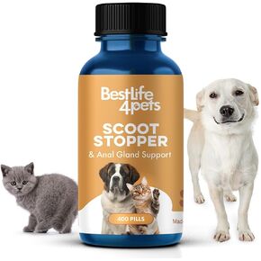 BestLife4Pets Scoot Stopper & Anal Gland Support - Natural Relief for Anal Gland Issues, Rectal Prolapse, Itching and Discomfort in Dogs & Cats of All Breeds and Sizes - 400 Odorless, Tasteless Pills