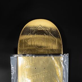 Skateboard Bags - Premium 10-Pack Deck Sleeves for 9.25" Wide Boards - Two-Tone Design, Reusable & Resealable Slider Zip Bags in Kuwait