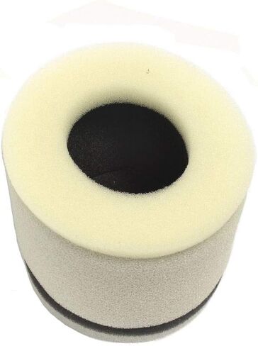 Athena (S410510200024) Air Filter in Saudi Arabia