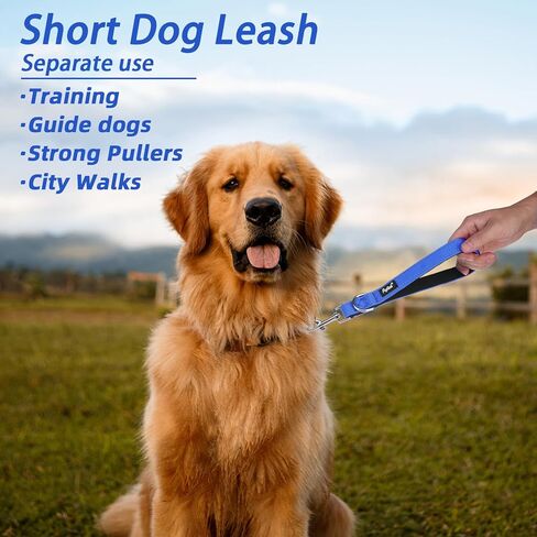 PUPTECK Chew Proof Dog Leash for Small Medium Large Dogs, Heavy Duty Dog Leashes with Padded Handle, Steel Cable Lead with Detachable Short Leash for Training Walking, Hot Pink in Kuwait