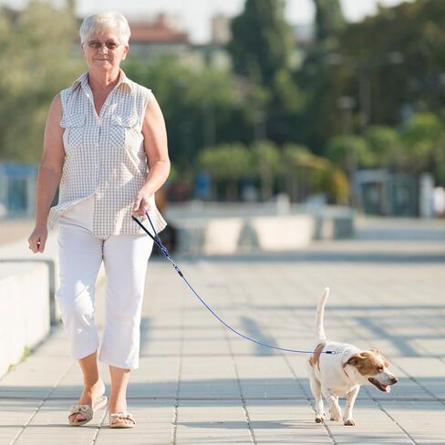 PUPTECK Chew Proof Dog Leash for Small Medium Large Dogs, Heavy Duty Dog Leashes with Padded Handle, Steel Cable Lead with Detachable Short Leash for Training Walking, Hot Pink in Kuwait