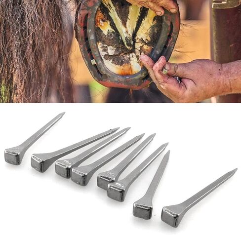 250pcs e5 Horseshoe Nails 2 بوصة من الفولاذ المقاوم للصدأ الحدوة حصان الأظافر الحصان حافر أدوات حدوة الحصان للزجاج الملون ، تدريب الخيول الرياضة الفروسية in Kuwait