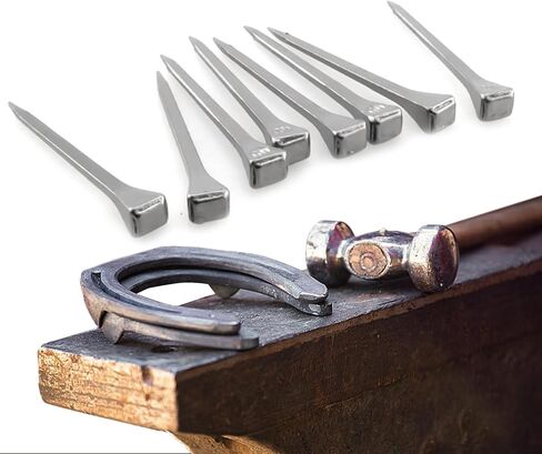 250pcs e5 Horseshoe Nails 2 بوصة من الفولاذ المقاوم للصدأ الحدوة حصان الأظافر الحصان حافر أدوات حدوة الحصان للزجاج الملون ، تدريب الخيول الرياضة الفروسية in Kuwait