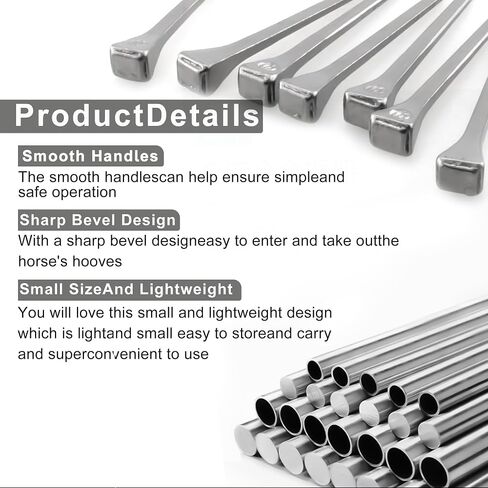 250pcs e5 Horseshoe Nails 2 بوصة من الفولاذ المقاوم للصدأ الحدوة حصان الأظافر الحصان حافر أدوات حدوة الحصان للزجاج الملون ، تدريب الخيول الرياضة الفروسية in Kuwait