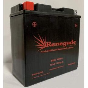 بطارية بديلة؛ RG14B-4 ؛ 275 CCA ؛ ل Yamaha (2002 ، 2003 ، 2004 ، 2005 ، 2006 ، 2007 ، 2008 ، 2009) in Kuwait