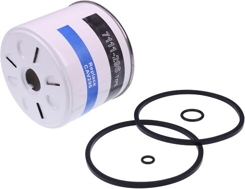 IEQFUE 2PCS Fuel Filter 3405418M2 Compatible with Massey Ferguson 240 241 250 274-4 285 20D 30 40 50 60 70 80 in Saudi Arabia